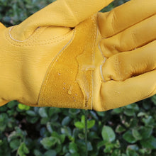 Load image into Gallery viewer, Water Resistant and 100 gram Insulated Genuine Premium Quality Top Grain Cowhide Winter Gloves
