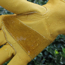 Load image into Gallery viewer, Water Resistant General Purpose Premium 100% Top Grain Cowhide Work Gloves
